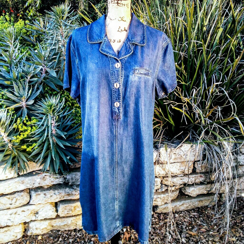 AKS Tinsel Denim Dress